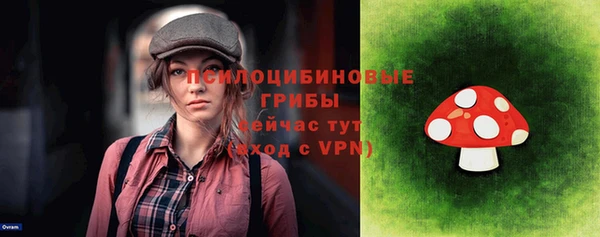 крисы Вязьма