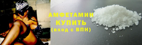 прущие грибы Волосово