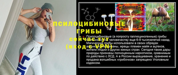 прущие грибы Волосово