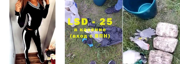 крисы Вязьма