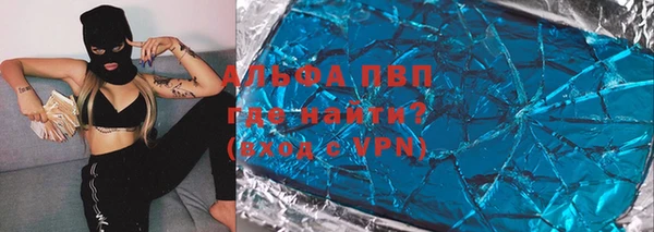крисы Вязьма
