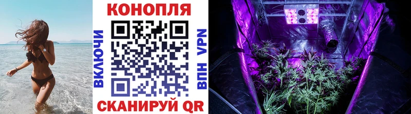 Купить где  Кимры  Бошки марихуана VHQ 